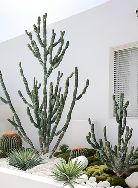 仿真仙人掌植物造景室内装饰摆件