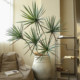 Simulated green plants Jimland Nordic niche floor-standing potted plants