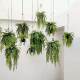 Simulated plant hanging decorative pendant green plant potted plant
