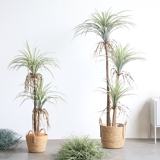 Simulated yucca tree potted green plants landscaping tropical plants