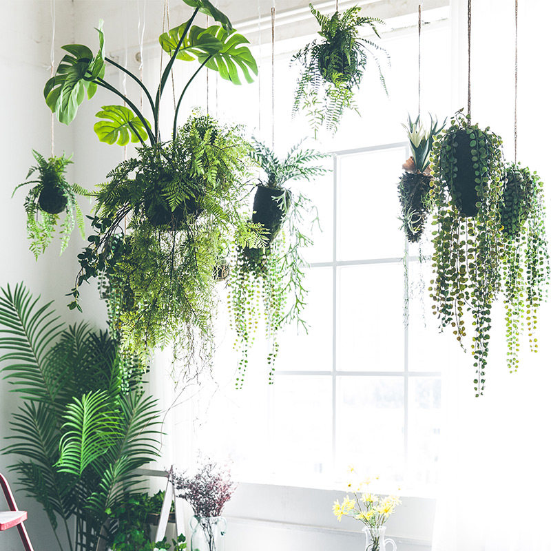 仿真植物悬挂吊饰室内蕨类绿植装饰假霸王蕨吊篮盆栽吊顶壁挂吊球,淘宝优惠券,粉丝福利购,淘宝优惠卷