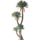 Simulated agave dracaena potted green plant ornaments