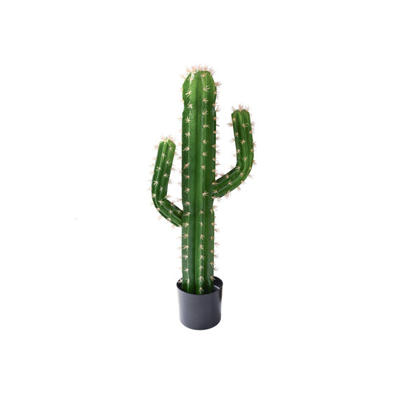 Simulated cactus potted succulents fake cactus