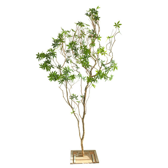 Simulated mazui wood green plant landscaping soft decoration landscape