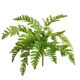 Simulated ferns, small plants, artificial flowers, decorative green plants