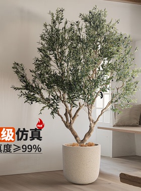 北欧大型仿真橄榄树盆栽室内造景