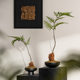 New Chinese style simulated asparagus bamboo tray landscape decoration