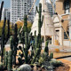 Cactus potted cactus landscaping decoration ornaments