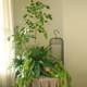 Simulated green leaf Persian fern feel bionic plant landscaping