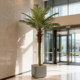 Simulated palm tree, coconut tree, sunflower, fake plant potted plant