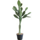 Internet celebrity simulated Leon cactus green plant potted ornaments