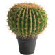 Simulated cactus potted sand plant green plant landscaping