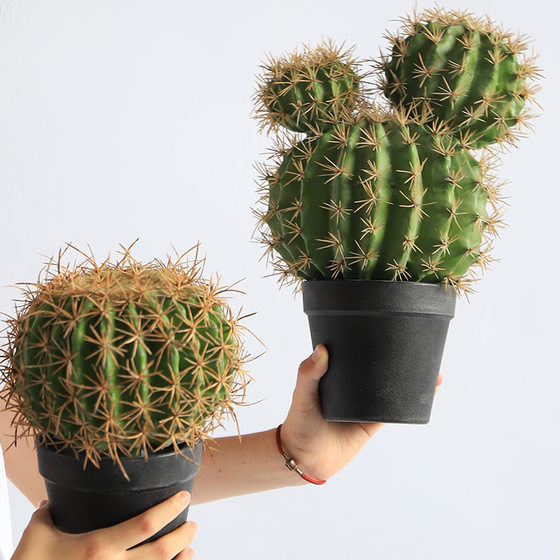 Simulated cactus potted sand plant green plant landscaping
