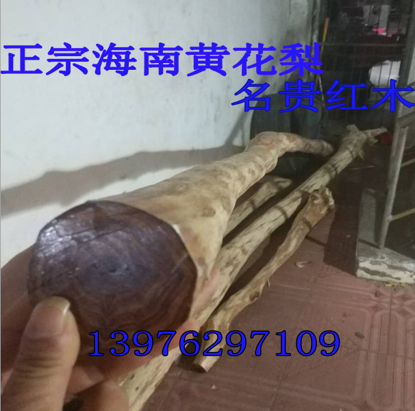 名贵珍稀树苗正宗海南黄花梨树油梨树苗红木降香黄檀树木小树大树-图2