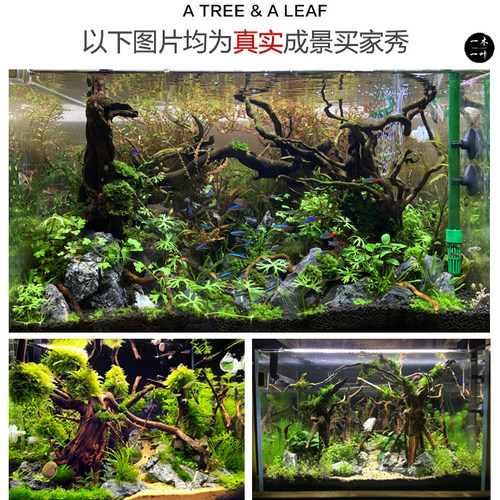 沉木包邮 造景沉木 草缸造景 杜鹃根 草缸  一木一叶原创妖精森林 - 图3