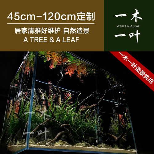 自然造景套餐 栖根 杜鹃根 造景沉木 草缸造景  草缸一木一叶 - 图3