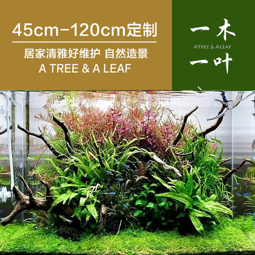 自然造景套餐 栖根 杜鹃根 造景沉木 草缸造景  草缸一木一叶 - 图0