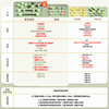 HEAD combination dumbbell green watermelon