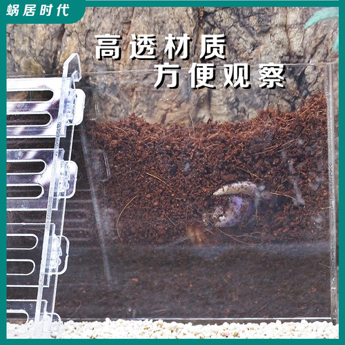 寄居蟹蜕皮隔离盒亚克力方形盒超白斗鱼缸椰土饲养盒 - 图2