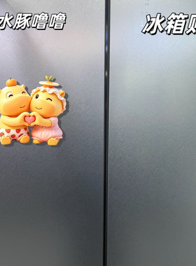 水豚噜噜情侣亚克力磁吸冰箱贴