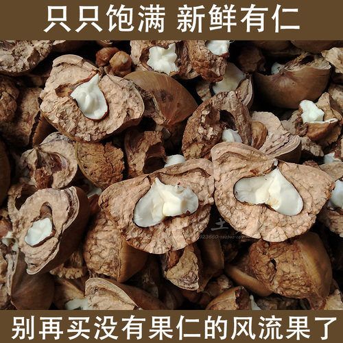 广西野风流果天然干果无硫新货正品石头果龟头子厚鳞煲汤煮水泡酒 - 图0
