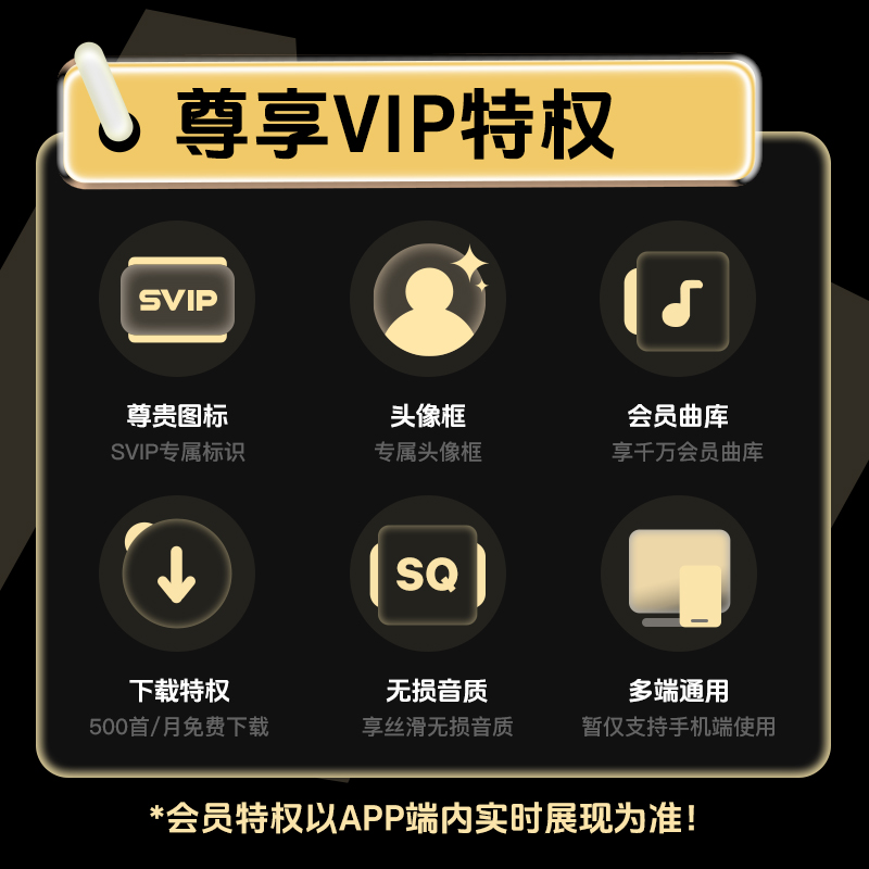 汽水音乐会员汽水音乐超级会员1个月卡SVIP月卡汽水音乐超级会员-图1