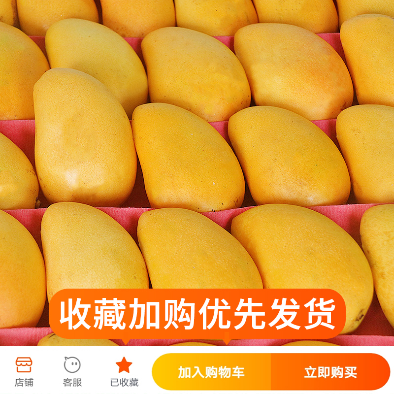 六井旗舰店海南特产小台农芒果9斤热带小台芒果甜水果新鲜应当季整箱包邮100