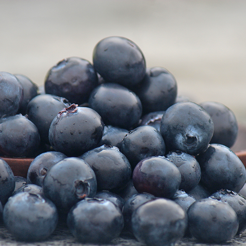 六井旗舰店丹东蓝莓大果新鲜500g鲜果蓝梅孕妇宝宝辅食当季水果护眼包邮3