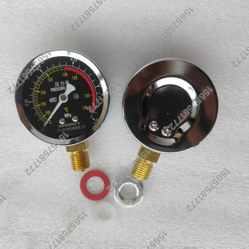 手提式高压消毒灭菌锅压力表0-0.25MPa带温度138度灭菌器用双刻度 - 图0