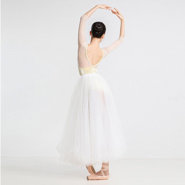 Sansha ballet dance costume