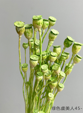 虞美人花开云间永生花虞美人