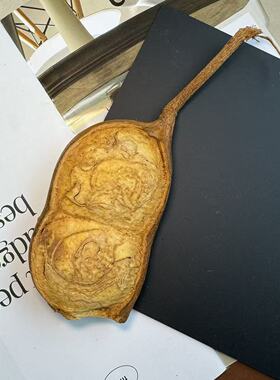 DIY榼藤娃娃大豆荚素材单豆双豆