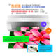 Flagship paper whole box wholesale A5 printing paper