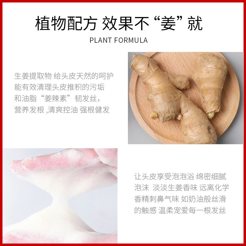 润丝丹旗舰店润丝丹生姜洗发水无硅油控油蓬松去屑止痒洗头发膏露修护发素套装3
