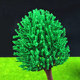Architectural Sandbox Model Materials Landscape Trees