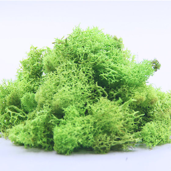 Architectural sand table model landscape simulation bushes