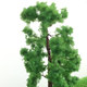 Architectural sand table model diy handmade materials garden scene micro landscape tree small trunk finished tree set