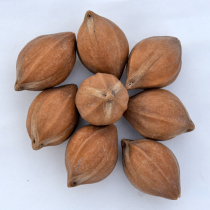 Olive Nuclear Hand Strings Original Seed Vegetarian Nuclear Short Circle Super-Thick Extra-virgin Iron Core Raw Material Hand Strings of hand chain Nuclear carvings