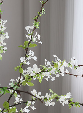绿植高级感客厅餐桌花摆件装饰