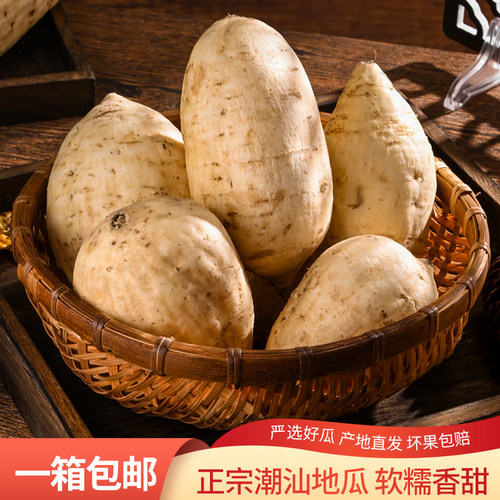 潮汕农家现黄心板栗红薯新鲜鸡蛋黄粉地瓜香甜粉糯小香薯3斤5斤装 - 图0