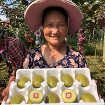 Sichuan Pujiang Red Heart Kiwifruit Red Heart Chic Exotic Fruit Should Season Fruit