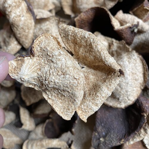 鼎雄农户直销11年陈化新会梅江圈枝大红老陈皮泡茶特产非虚假年份 - 图1