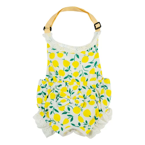 Собачья физиологические штаны Женщина -собака тетя артефакт, сука, менструальная защитная штаны Пет Тедди Корги защита