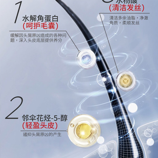 Japanese pharma 21 shampoo