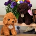 Mô phỏng Teddy Dog Year Mascot Plush Toy Grab Doll Small Doll Puppy Doll Doll - Đồ chơi mềm do choi tre em Đồ chơi mềm