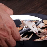 Погружение краба, чтобы съесть крабовый инструмент 304 из нержавеющей стали краб краб краб краб краб с полон крабовой иглы морепродукты срезанные волосатые крабовые крабы