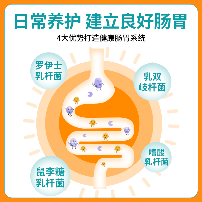 【华北制药】霍山石斛益生菌肠胃免幽60片