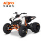 Huayang Racing A300 All-terrain car off-road ATV Electric start Non-on-road