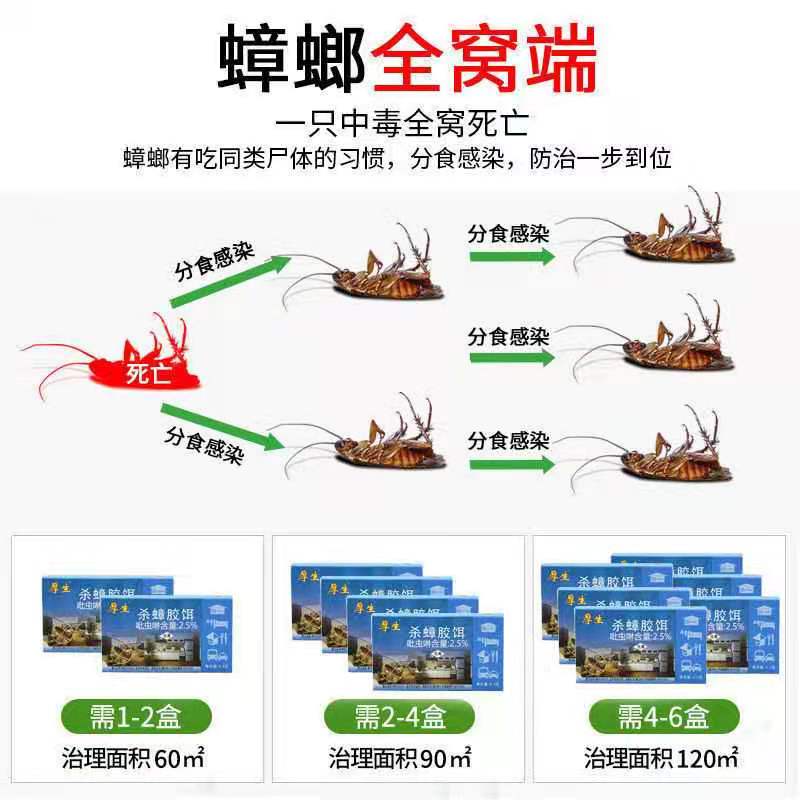 蟑螂克星杀蟑螂灭蚂蚁灭除小强药药粒消杀驱家用无味一窝端神器-图3