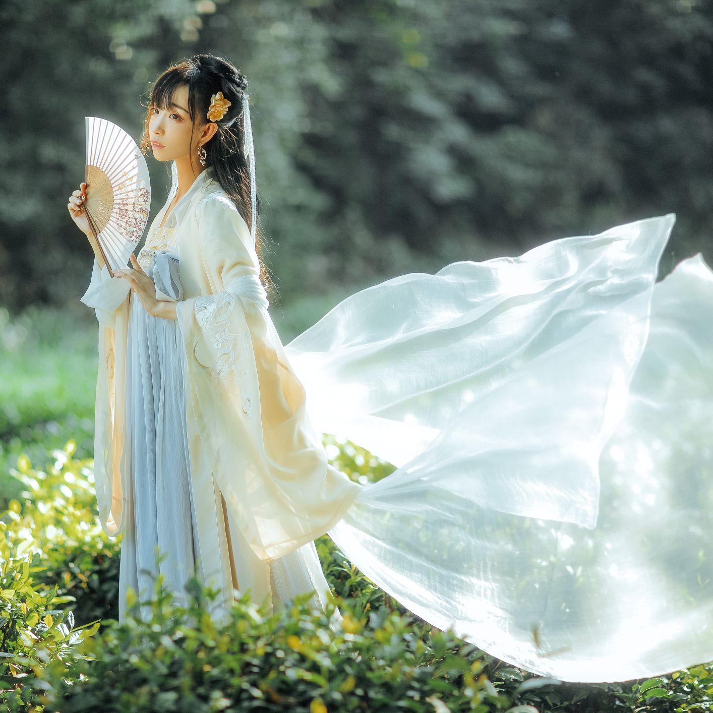 对襟齐胸上襦大袖衫两片式下裙汉服 九尾 小豆蔻儿 十三余 对襟齐胸上襦大袖衫两片式下裙汉服 九尾 小豆蔻儿 十三余